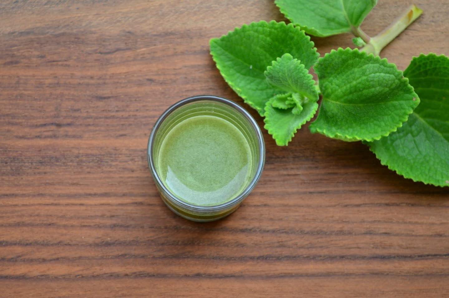 SAARA Saara HERBAL FRESH Karpooravalli Powder,100g, Coleus Amboinicus, Omavalli Leaves, Indian Borage, Patta Ajwain, Vamu Aaku, Panikoorka Leaves Powder,(pack of 1 x 100g)