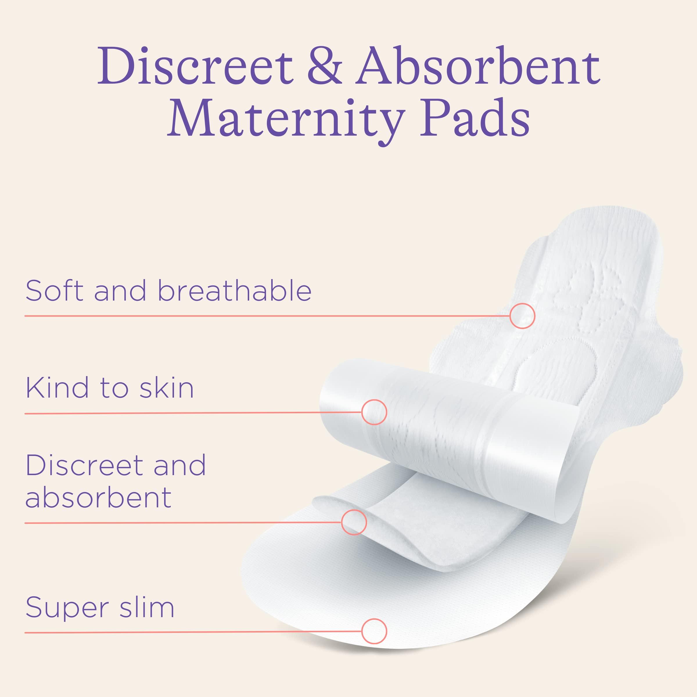 Lansinoh Lansinoh Extra Absorbent Premium Maternity Pads 2+ Weeks Post-Birth, After Delivery Pad for Urinary incontinence & Heavy Flow | Extra Soft Ultra-Absorbent | Postpartum Flow & Overnight flow | Post Pregnancy Bleeding | Pack Of 12