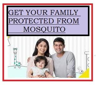 ELITE CRAFT lotsfut Black Dragon MOSQUTIO Stick for Herbal (Pack of 1)