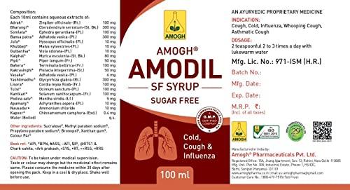 AMOGH Amogh Amodil S.F. SYRUP (Pack of 2 x100ml) SugarFree
