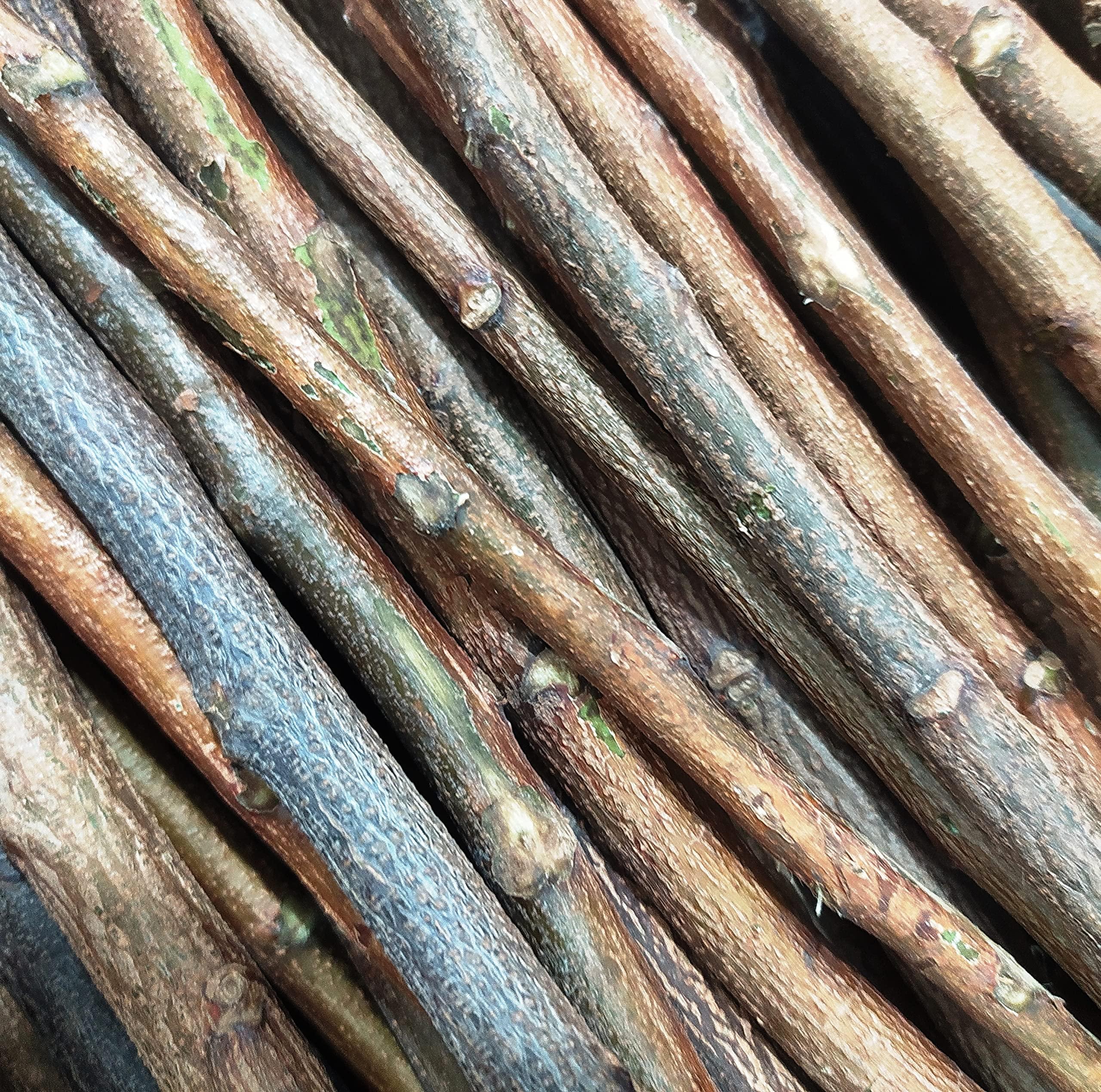 Alekip Organic Neem Chew Sticks for Healthy Teeth and Gums - 20 Sticks