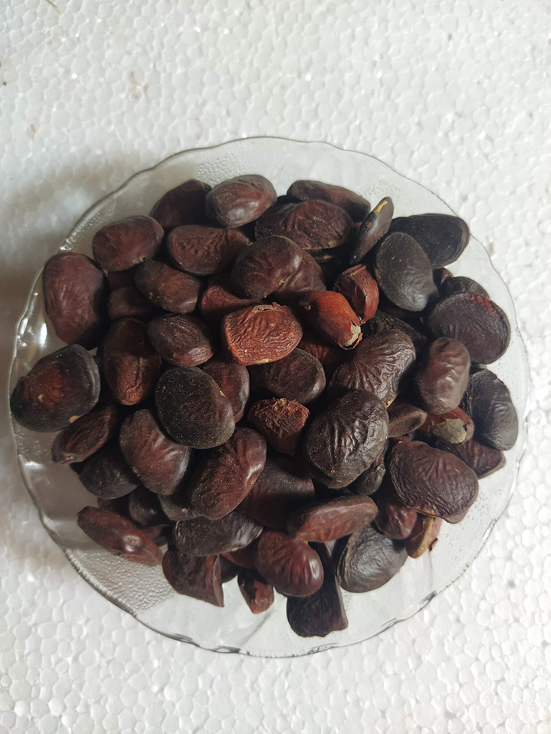 Generic Ambe Ayurveda - Karanj Seeds - Karanji Beej - Karanja - Pongamia - 100gm