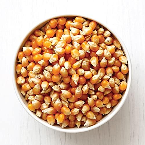 Dry Fruit Hub Dry Fruit Hub Popcorn Kernels 500g, Corn Kernels, Popcorn, Corn Kernels For Popcorn, Pop Corn Kernels, Unpopped Popcorn