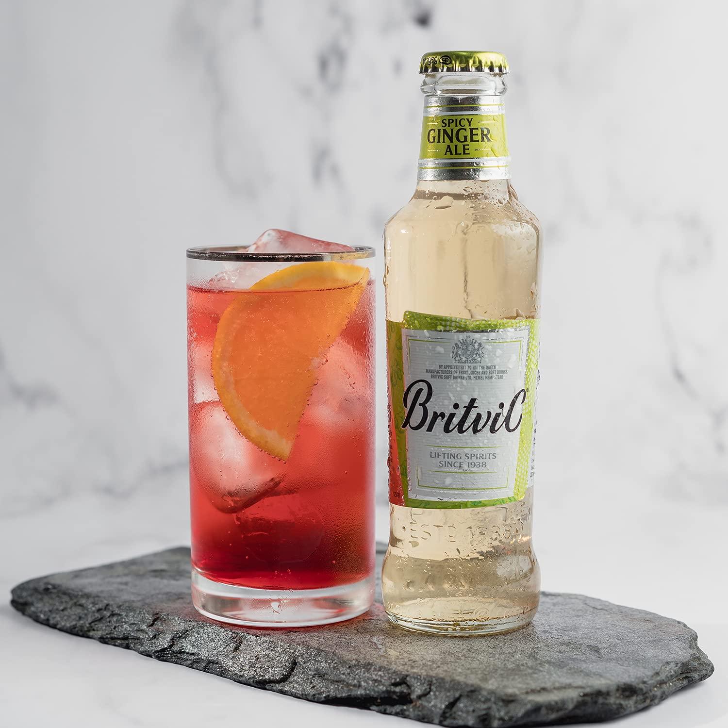 Britvic Britvic Ginger Ale, 200 ml