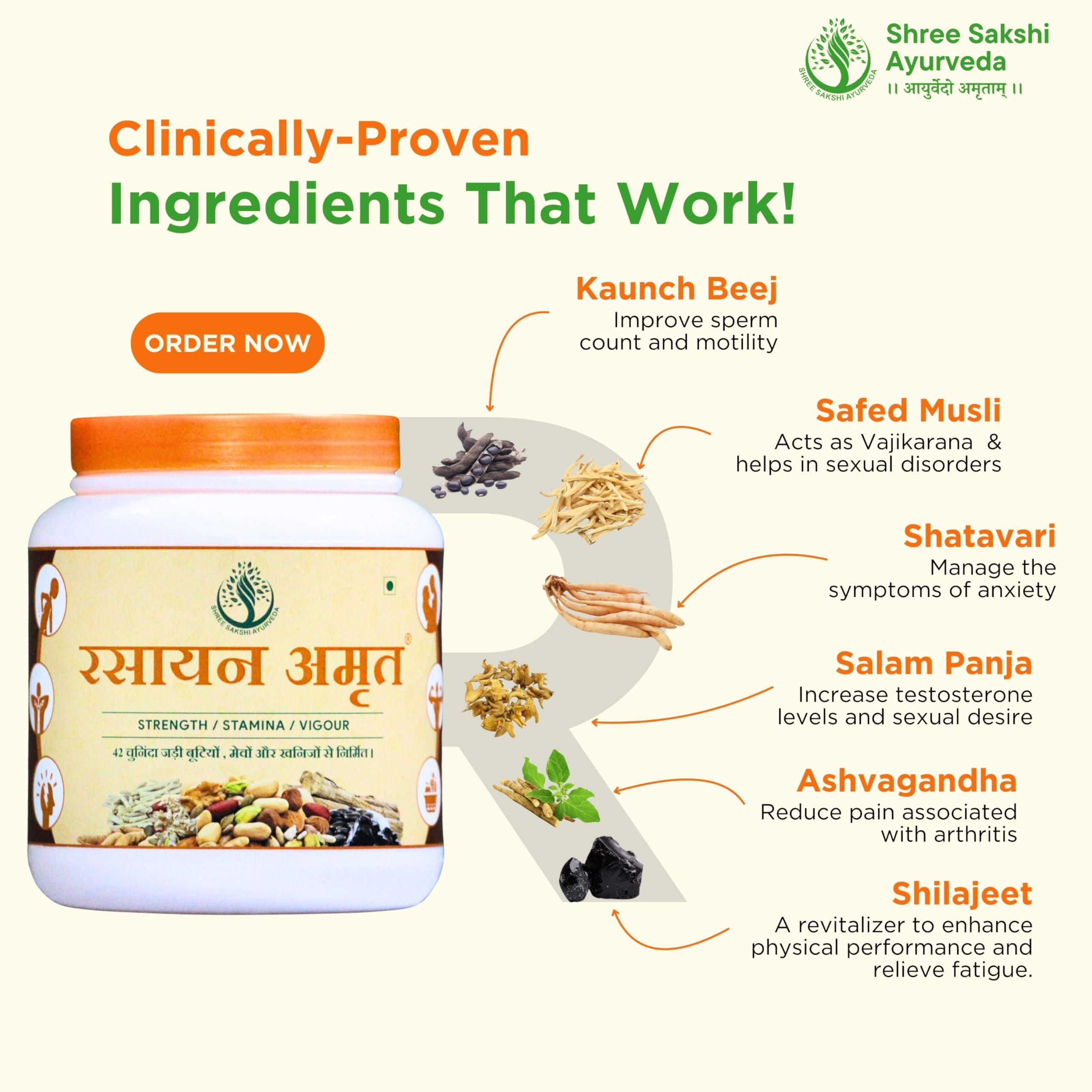 SHREE SAKSHI AYURVEDA SHREE SAKSHI AYURVEDA Rasayan Amrit Best Ayurvedic Formula 300g