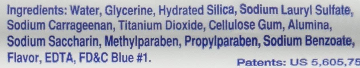 Readybrush Ready Brush Prepasted Disposable Toothbrush 10 count