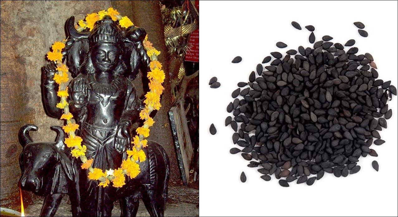 Veganic Veganic Black Sesame Seeds | Kale Till For Pooja - 400gm