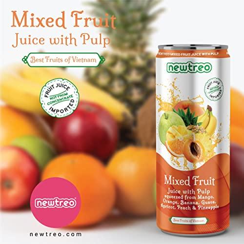 Newtreo Newtreo Mixed Fruit Juice With Pulp | Imported from Vietnam | Mango, Orange, Banana, Guava, Apricot, Peach & Pineapple Juice | 12 x 250ml cans | No Concentrates or preservatives added