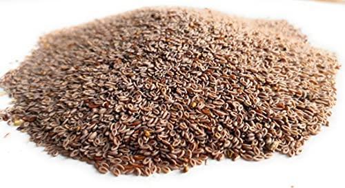 Ayushiv Ayushiv ISABGOL SEEDS (Plantago ovata) -Psyllium husk- Isabgol aka (250 GM)