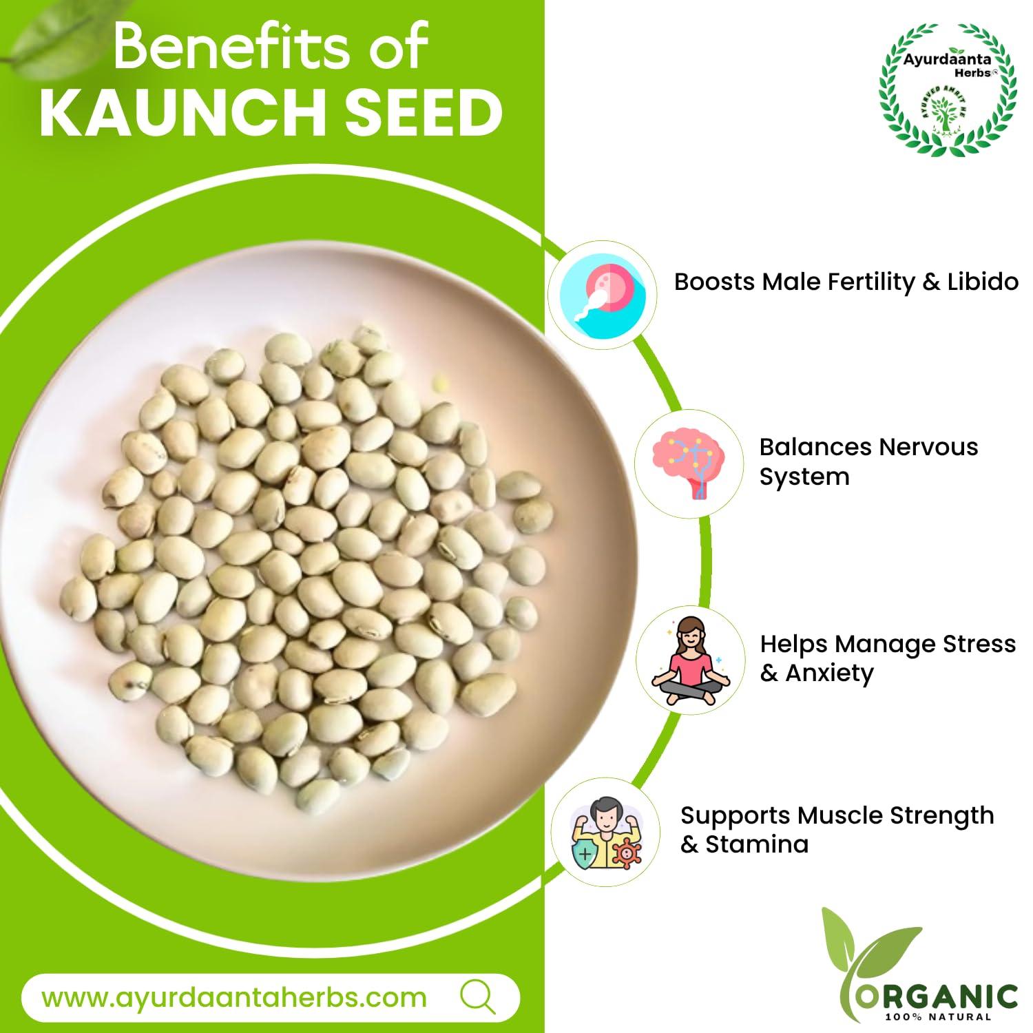 Ayurdaanta Herbs Ayurdaanta Herbs - Kaunch Beej Powder 100Gr | White Kaunch Beej Powder 100Gr |Mucuna Pruriens|Kaunch Seeds Powder | 100Gr| 100Gr -