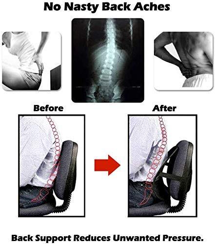 NOBILEA NOBILEA Ventilation Back Rest with Lumbar Support Mesh Cushion Pad, Universal Back Lumbar Support Chairs for Office Chair, Home, Car, Seat to Relieve Pain