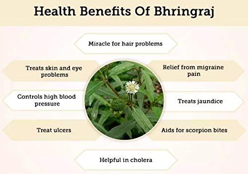 neotea Neotea Karisalankanni Bhringraj Powder | Eclipta Alba | White Prostrata | Natural Hair Growth & Scalp Care | Dandruff Control | Liver Support | False Daisy Leaves | No Preservatives | Pure & Chemical-Free | Kayonni, Kesaraja, Bhangra | Karisalai 300 