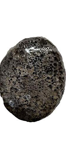 Brushman Brushman Beauty Accessories Pumice Stone (Black Oval P-S1)