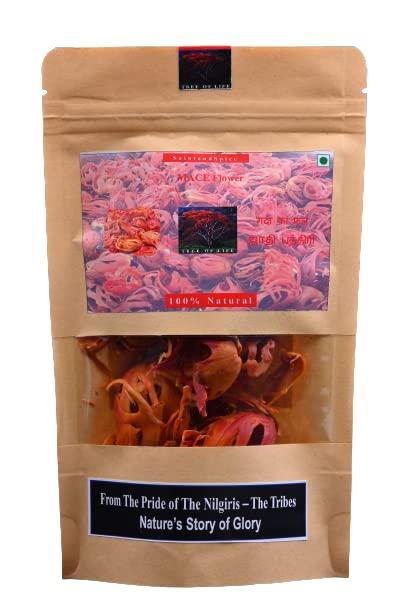 SaintandSpice SaintandSpice Grade Big Size Mace| Kerala Mace | Javitri | Japatri Flower Whole Spices| javitri phool jaifal| Nilgiri Mace - 100 Gram