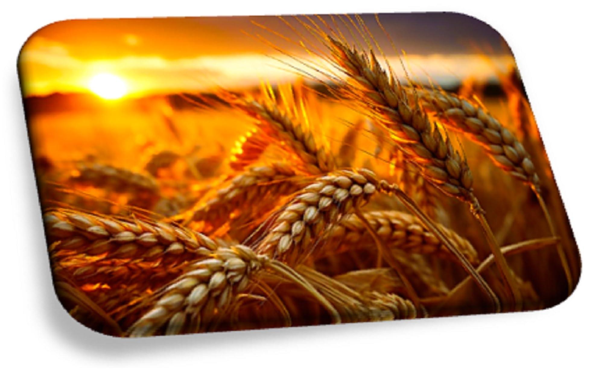 Generic The SouthWest | Premium Wheat Flour - Lokwan | Gehu Atta | Gehoon Ata | Godhumai Pindi | Kanaka Ata | Godhambu Podi | Godhumalu | Godhi Hittu | Gehun Ata | Kotumai Mavu | Gavhace Peeth