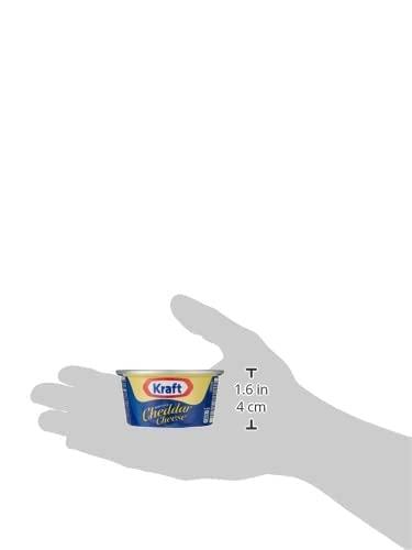 Kraft Kraft Processed Cheddar Cheese Tin, 100 g (Pack of 2)
