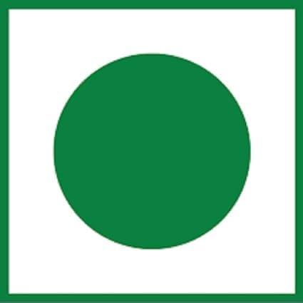 Generic Beons Organic Turmeric Seeds(Roots) | Kachchi Haldi | Taaja Pasupu |Kerala Pacha manjal | Kachi Haldi from Kerala (750grm)