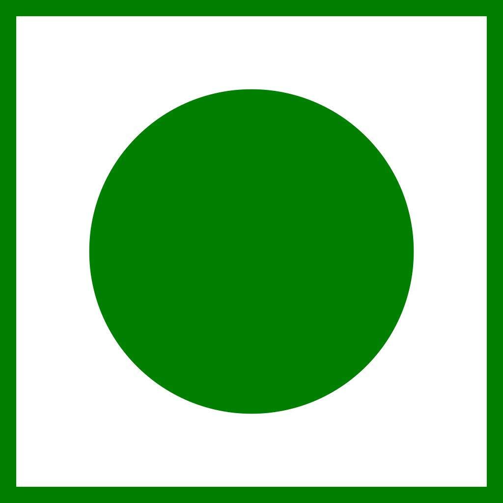 Zone Marketing Home Made Uppu Narthangai Oorugai (Vathal) 250g