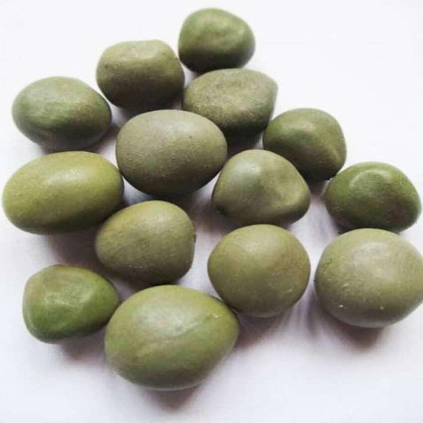 SPS MARKETING SPS MARKETING Gajga|Fever Nut|Kalarchikai|Caesalpinia Bonducella|Karanjwa Seeds|Kalarchikai|Gajikekayi|Kuberakshi|Vajra Bijaka|Indian Beech|Letaguti|Gajaga|KARANJWA|PONGAMIA PINNATA|SAGARGOTA(100g)