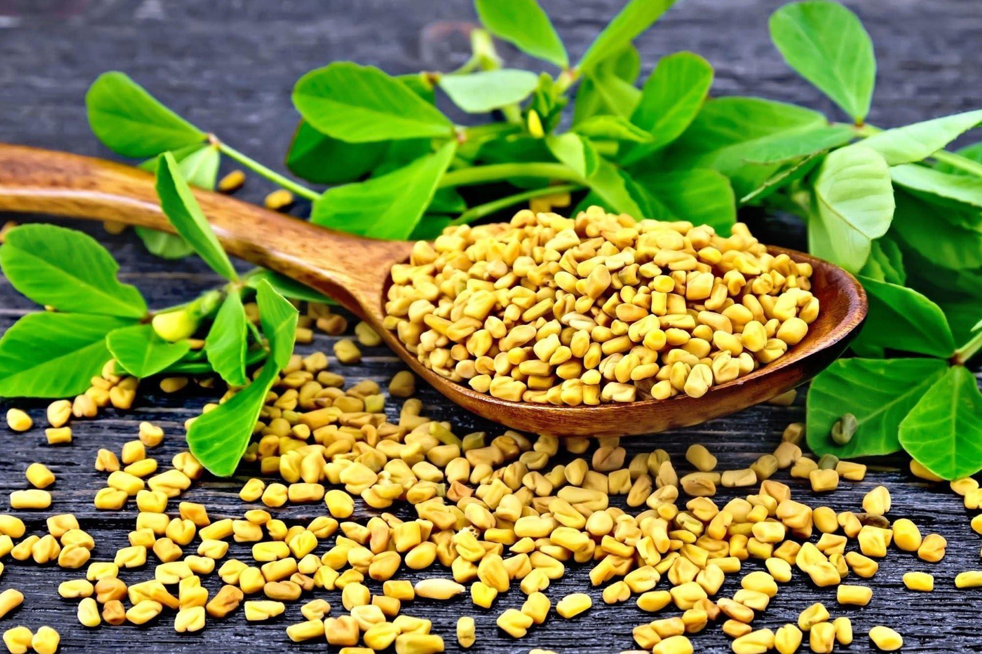Nature Vit NatureVit Yellow Fenugreek Seeds 1 Kg (Methi Dana)