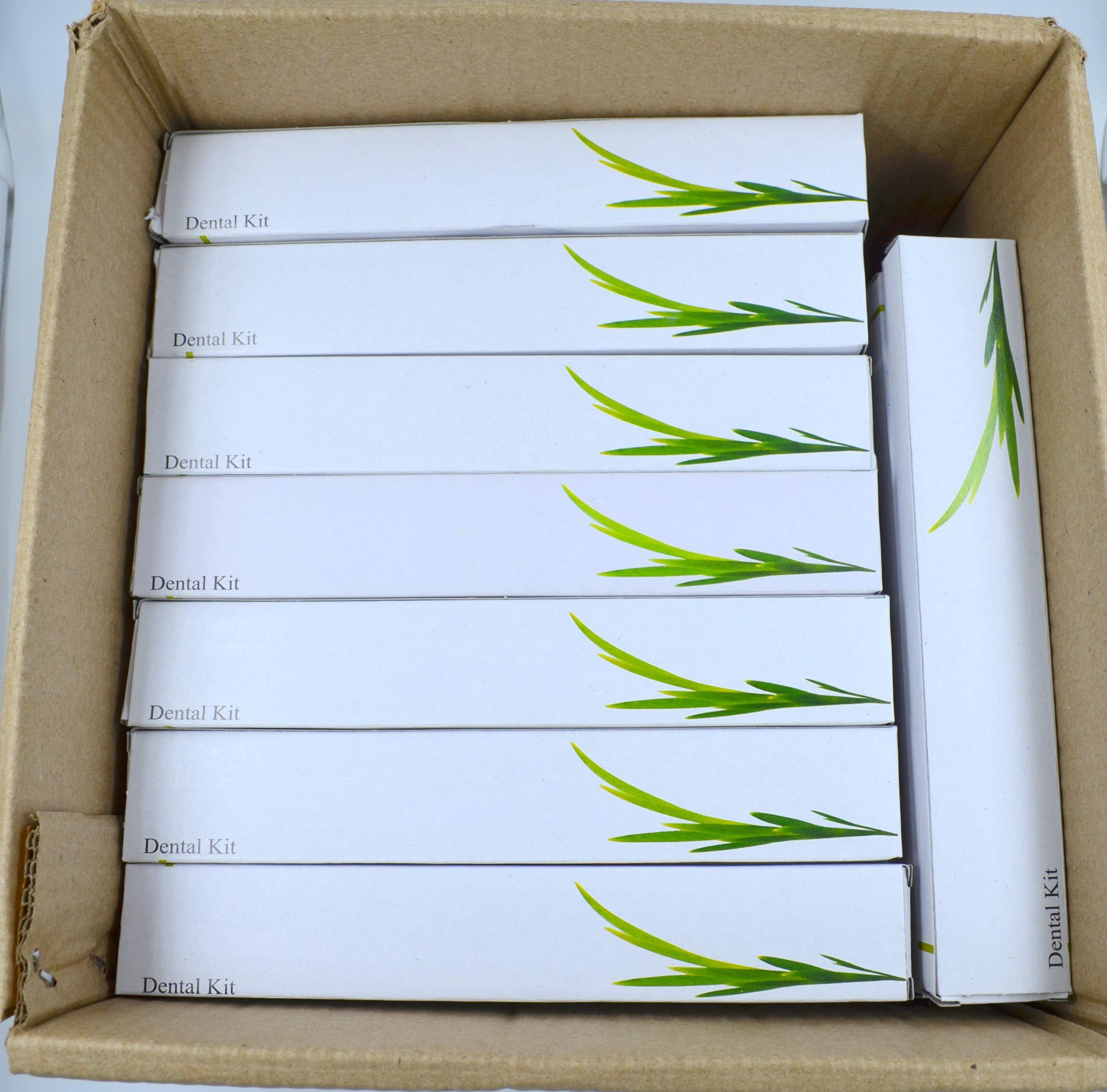 DR PATELS HOMEOPATHIC MEDICINES Dr Patel\'s Homeopathic Euro MH Drops - Natural Relief for Bed Wetting | Relief from Daily Medication, Night Terrors, Anxiety, and Urinary Tract Infection - 30ML (Pack of 1)