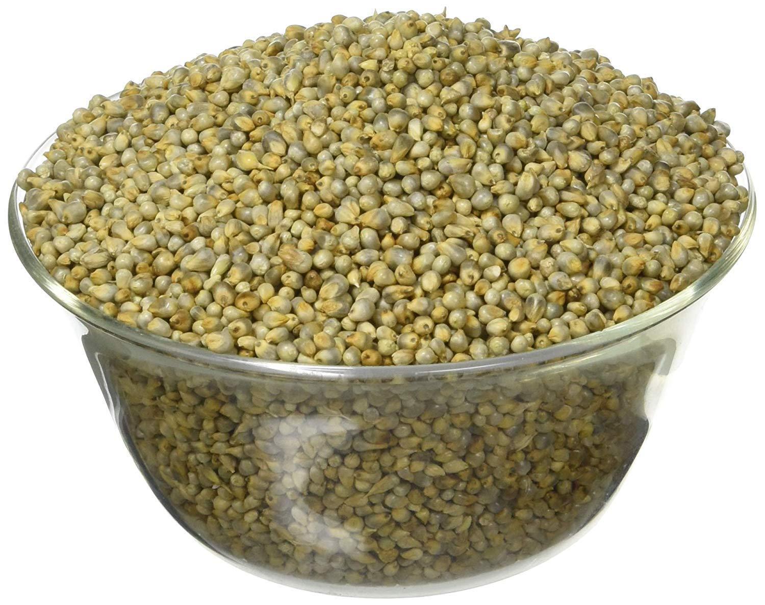 Roods Fresh Roods Fresh Whole Bajra Grain | Pearl Millet| (900 Grams )