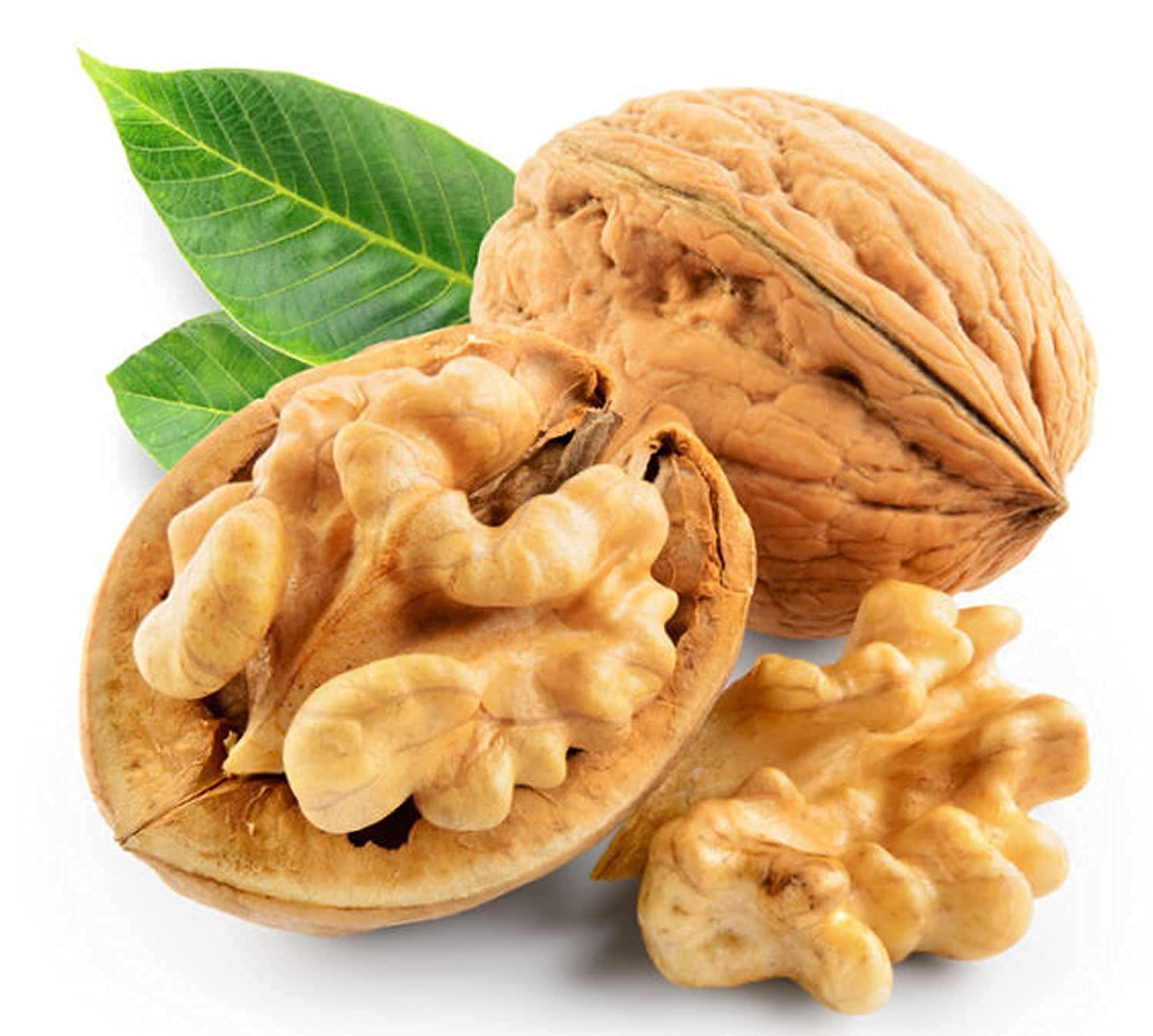 Nature Purify Nature Purify Walnuts With Shell,California Inshell Walnuts,Whole Akhrot,Inshell Walnuts,Whole Walnuts,Akhrot Sabut,Nut (1kg)