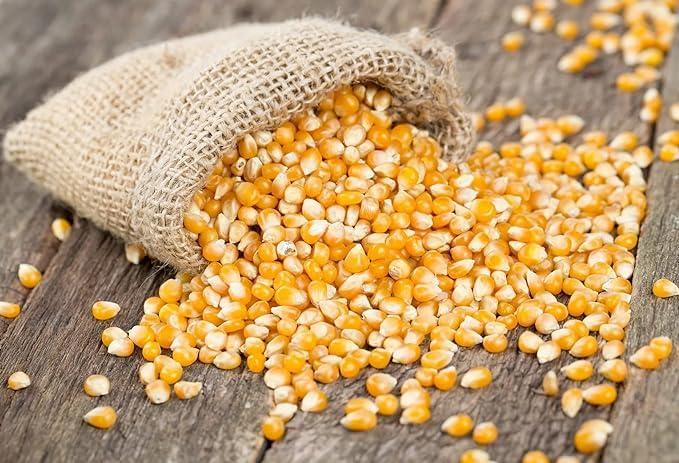 Generic Vanalika Popcorn kernals I Organic Popcorn Seeds I Maka Dana I Classic Butterfly Corn Kernels I 250gm