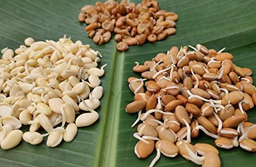 NATURE STAY Nature Stay Red Vaal Beans, Deshi val -900gm