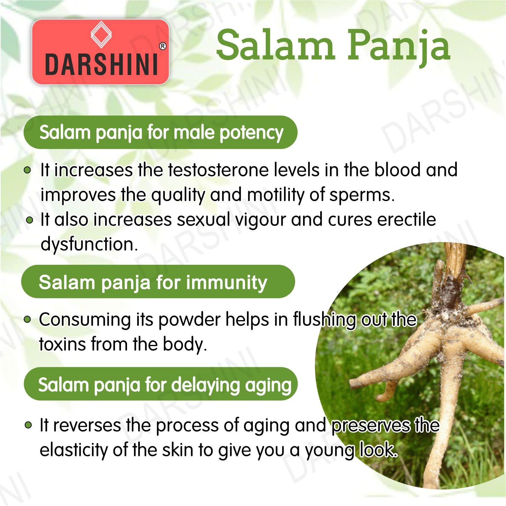 DARSHINI Darshini Salam Panja/Hatta Haddi/Salab Panja/Dactylorhiza hatagirea, 50gm