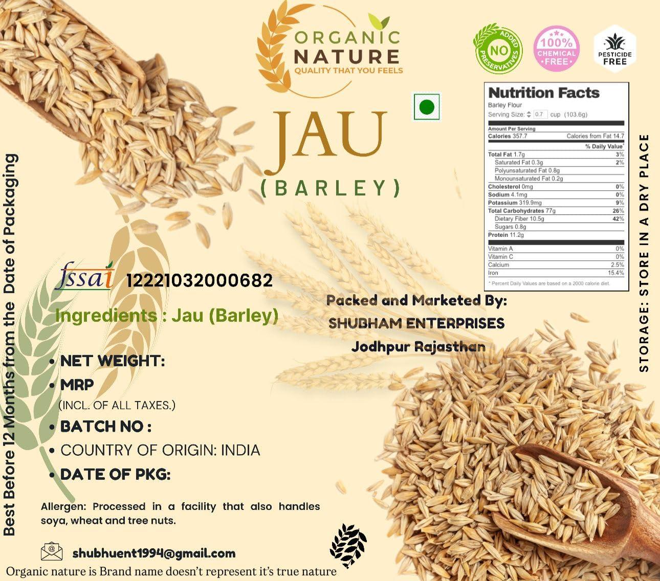 ORGANIC NATURE Organic Nature Raw Barley Seeds (Jau) 400 Grams Barley Grain