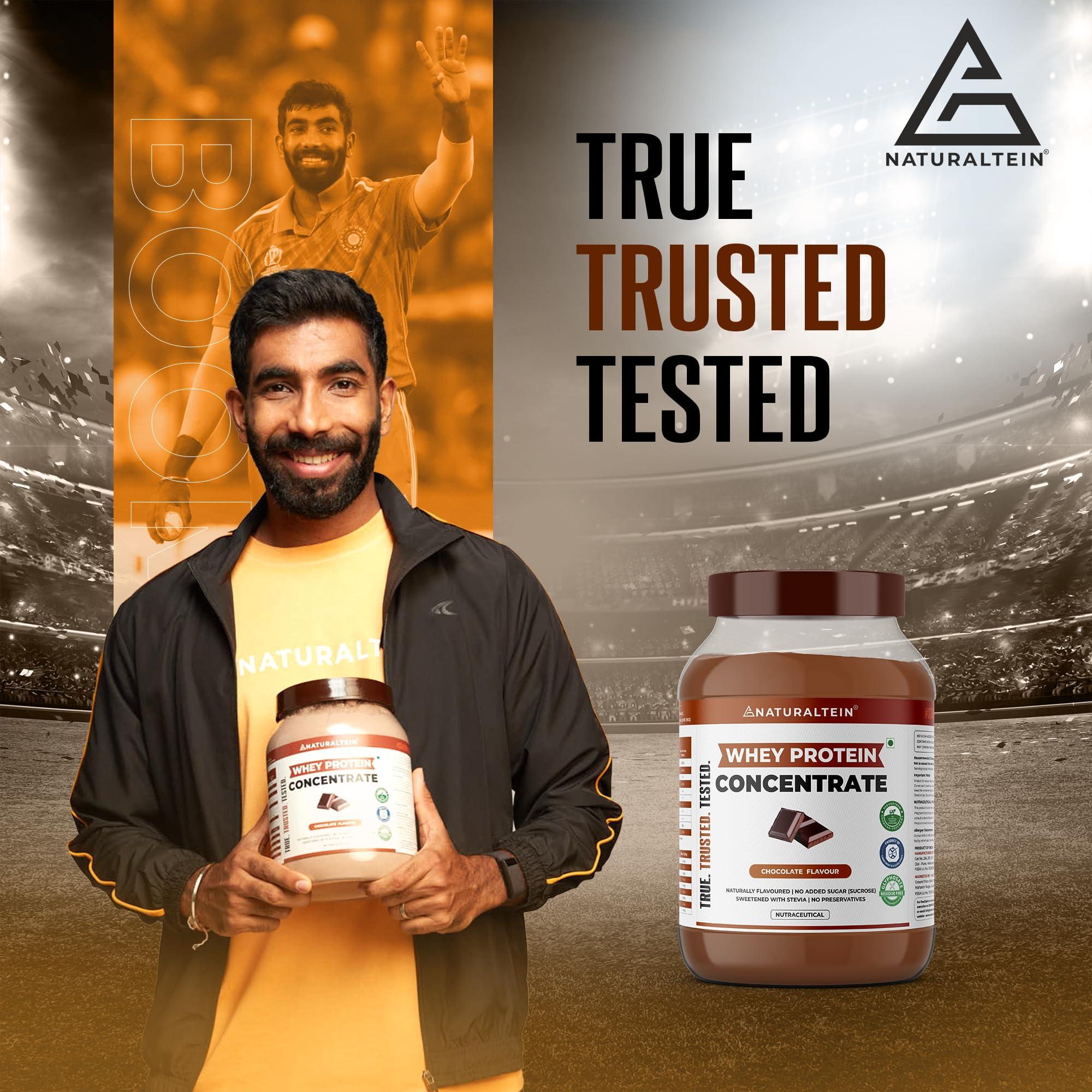 NATURALTEIN NATURALTEIN 100% Natural Plant Protein Berry (22.1 G Protein)