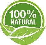 Organic Purify Organic Purify Lebanon Pine Nuts, 250g Jar Pack | Chilgoza | All Premium. Jar Pack