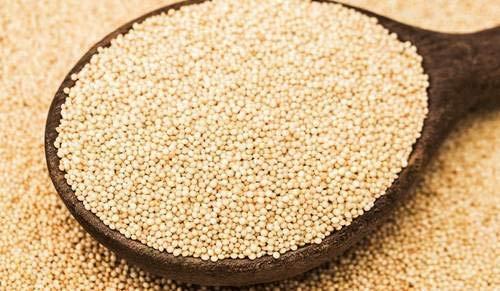 ORGANIC PURIFY Organic Purify Natural Rajgira Amaranth Seeds Whole - 5Kg | Ramdana Seed Sabut/Rajgira Seed Sabut | High in Protein & Fiber | Gluten Free Rajgeera Seeds