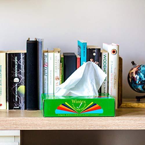 Wintex Wintex ULTRA 2 Ply Luxury Facial Tissue Box (Pack of 10 Boxes, 200 Sheets/100 Pulls per Box)