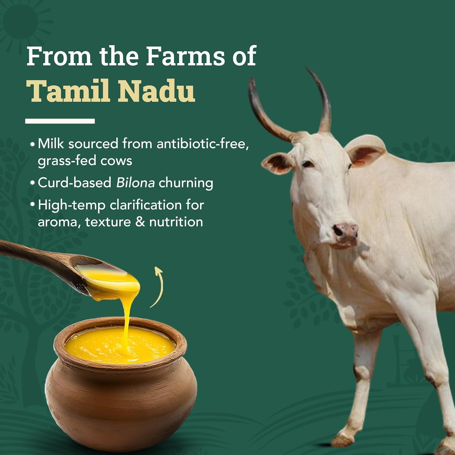 Anveshan Empowering farmers with technology Anveshan A2 Desi Cow Ghee (500ml x 2 Jars) | Glass Jar | Bilona Method | Curd-Churned | Pure, Natural & Healthy | Lab Tested | Grass-Fed Cultured Ghee