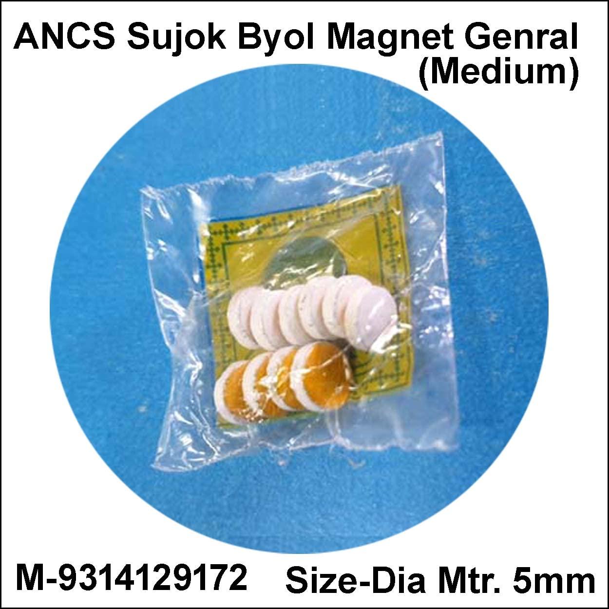 ANCS ANCS Sujok Byol Magnet Medium 5mm (60pc)