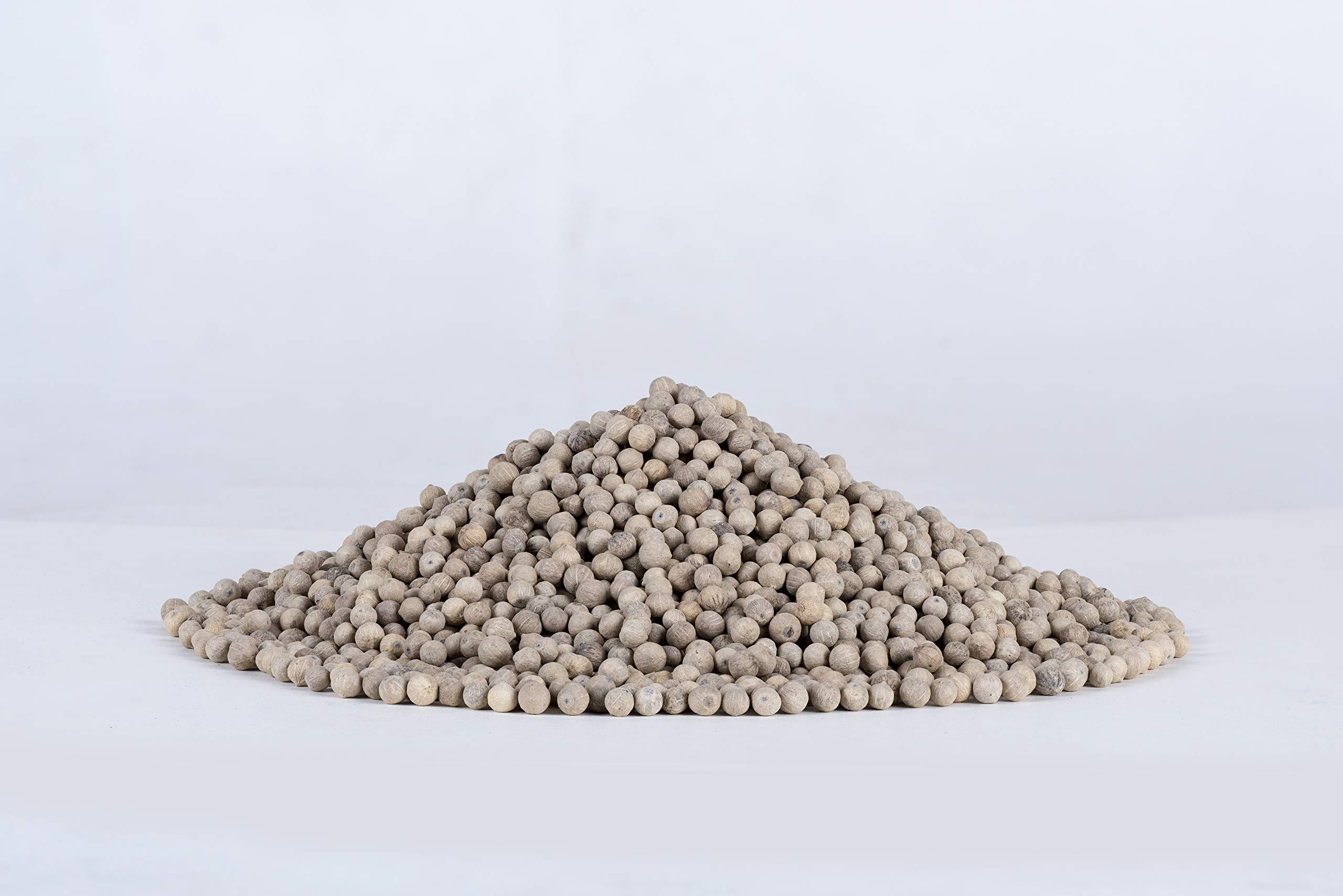 EARTHROOT EarthRoot Natural Whole White Pepper 100 gm | Safed Mirch | Sabut Safed Mirch | White Pepper corn | Can be used in various dishes | Herbal seeds