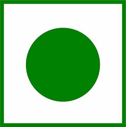 TRIANGLE Triangle 1 Kg Premium Kashmiri Quarter Walnut Without Shell, Akhrot Giri,raw,1000grams