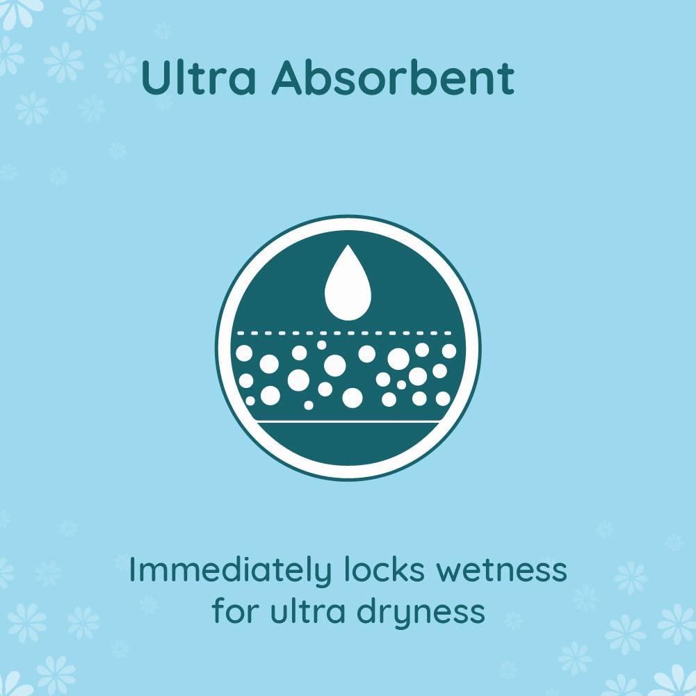 HUNGRY BEAST Spice-M, Dried Coconut Balls | Tiptur Copra | Giri Gola | Gota Nariyal | Endu Kobbari | Dried Copra | kurudu - 100 Grams