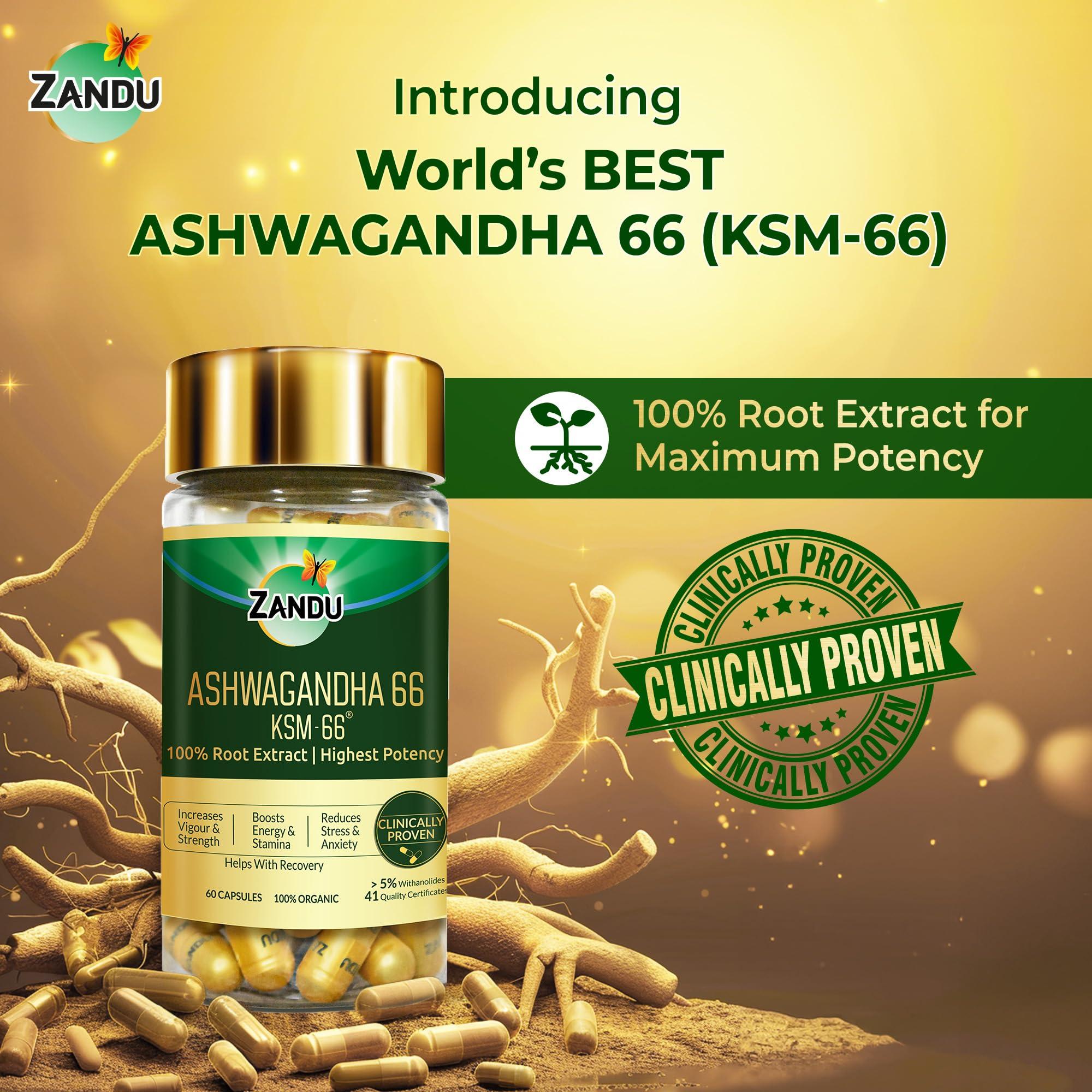 Zandu Zandu Ashwagandha 66 (KSM-66) (600 mg) | Clinically Proven 100% Root Extract for Maximum Potency