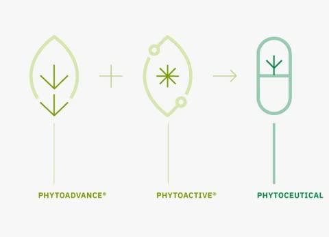 AlchemLife AlchemLife Liverubin Plus The Natural Hepato Protector Tablet With Milk Thistle, PhytoExtract (Pack of 7)