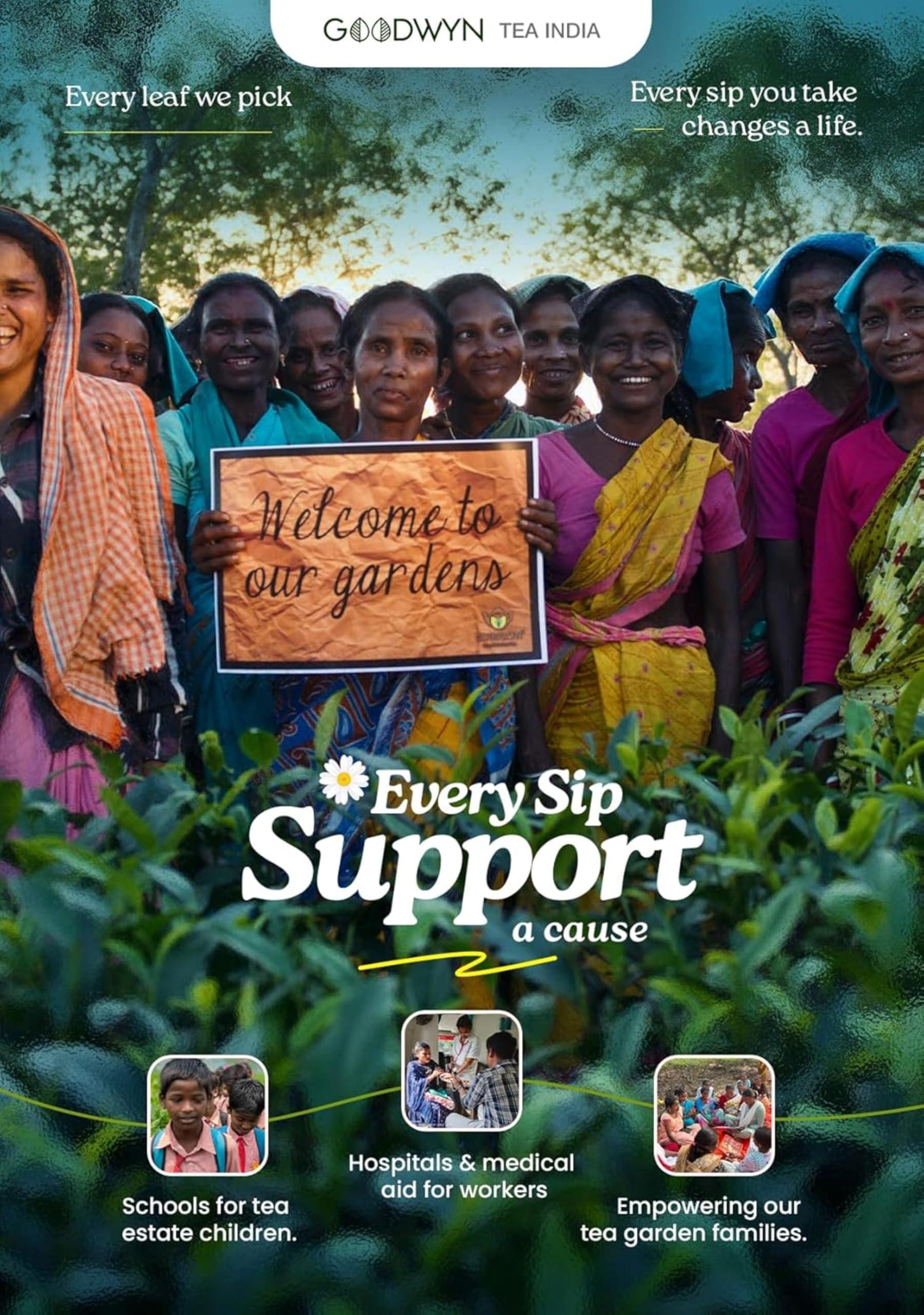 Goodwyn Goodwyn Kashmiri Kahwa Green Tea, A Supreme Blend of Green Tea and Indian Spices, 100 Grams