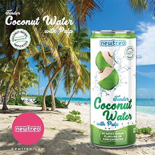 Newtreo Newtreo Tender Coconut Water with Pulp | 100% Coconut Water | No Added Sugar or Flavours | Not from Concentrate | Imported from Vietnam | 12 x 250ml cans