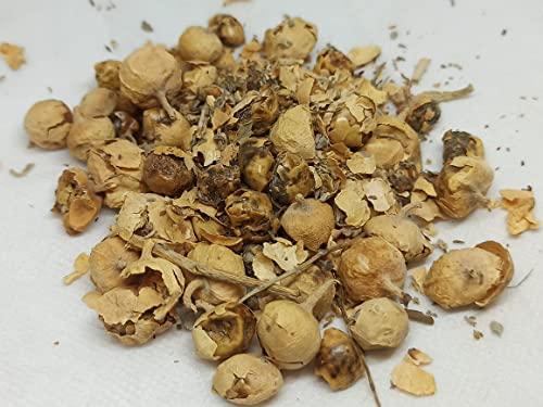 NATURALIFE NATURALIFE\'S-*PANNIR POO*-Indian Rennet Flower Dried I Withania coagulans Dunal I Paneer Poo/ I Paneer Phool/Paneer Doda I Panneru-gadda (250 GRAMS)