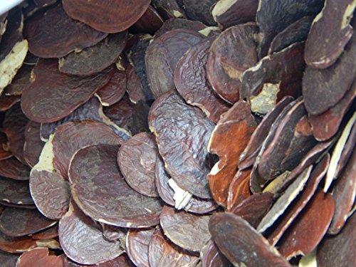 Urancia Urancia® Palas Palash Beej Bilas Papda Brehma Vriksham Chamatha Flame of the forest Seed Butea monosperma 250gm