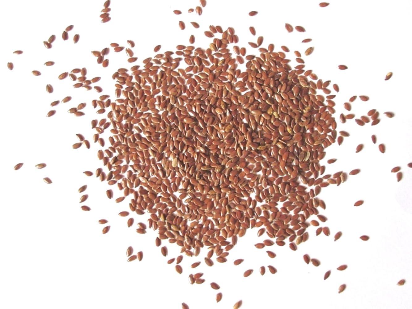 vinarghya Vinarghya - Organic Ayurvedic Jawas/Javas/Flax Seed/Alasi/Alsi Seed/Linseed/Linum Seed/Teesi - 400g