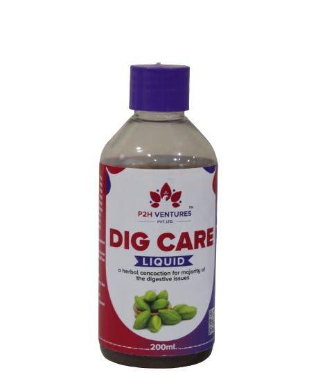 P2H VENTURES DIG Care Liquid | Digestive syrup | Acid Reflux | Nausea