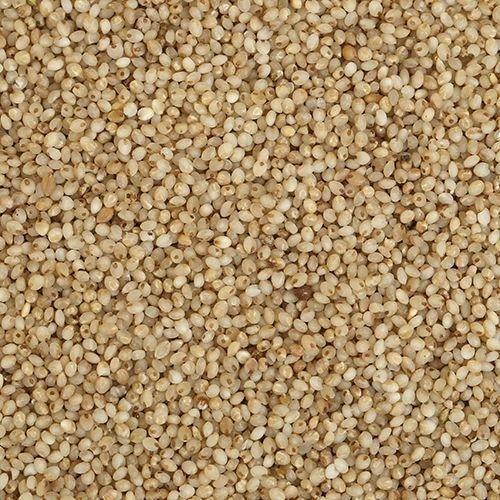 Pmw Pmw - Grade A Quality - Little Millet - Kutki - Samai - Samalu - Same - Sama - Sava - Gajro - Suan - 1 Kilo