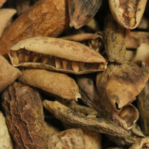 Sulsa MASALA Kachri Whole 400 gm Rajasthani Dried Kachari Sabut Organically Grown Dry Kachri